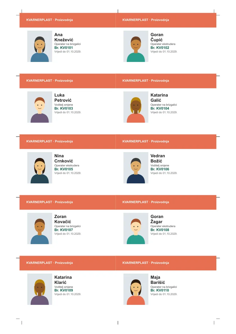 Employee ID cards with photo and department colour